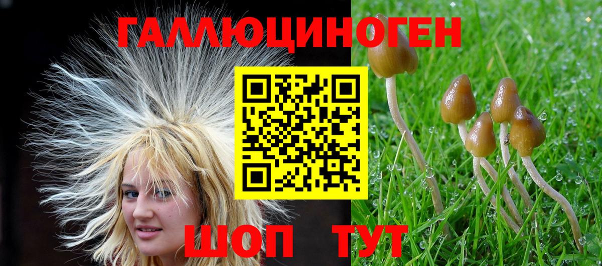 Лобня  Галлюциногенные грибы Psilocybine cubensis  Вход с VPN 